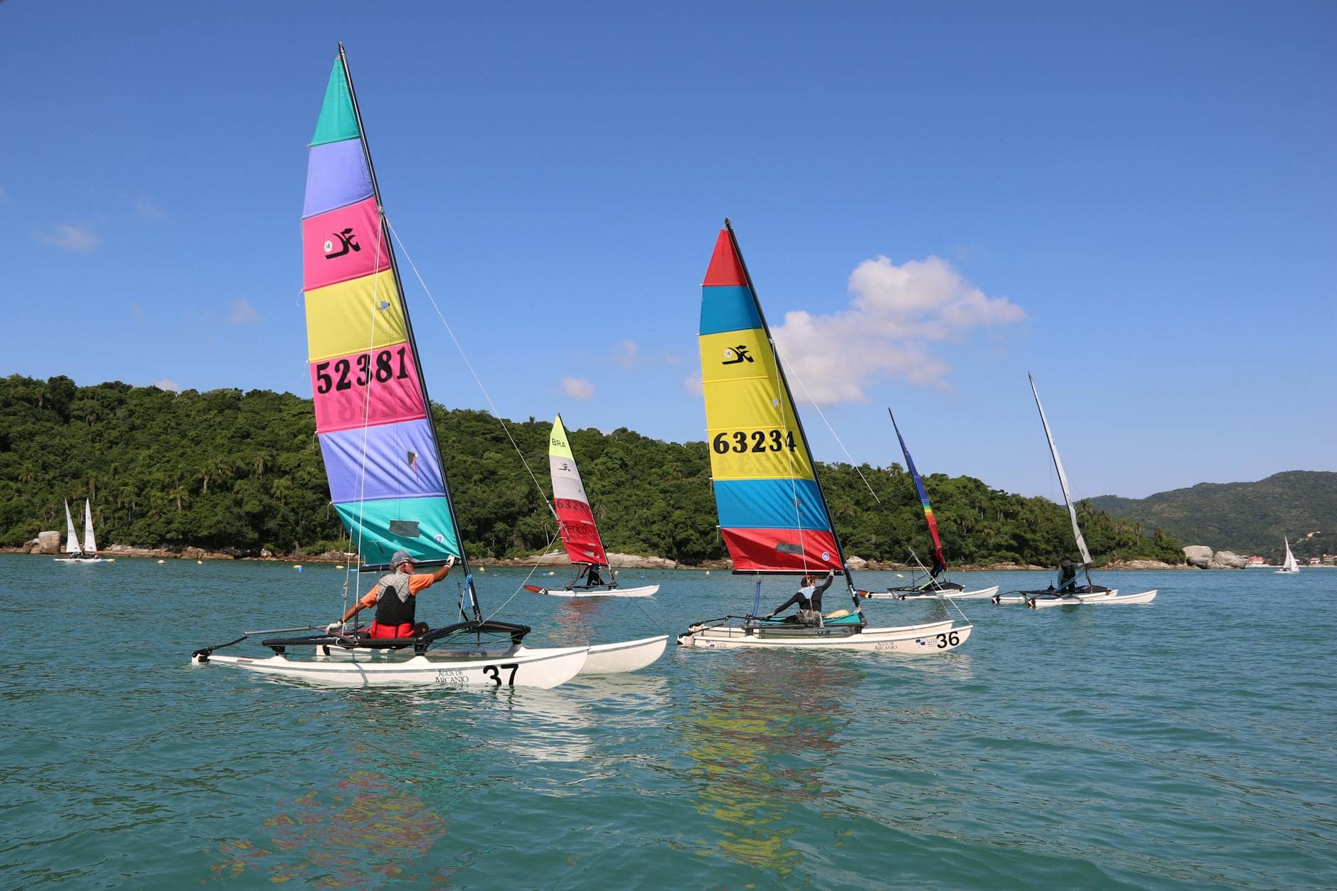 a group of people racing with sailboats on sea